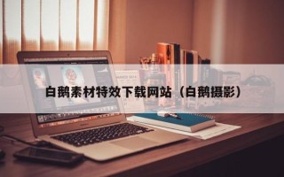 阳泉白鹅素材特效下载网站（白鹅摄影）